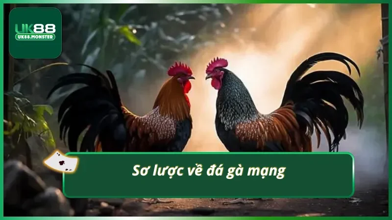 Đá gà mạng là gì?